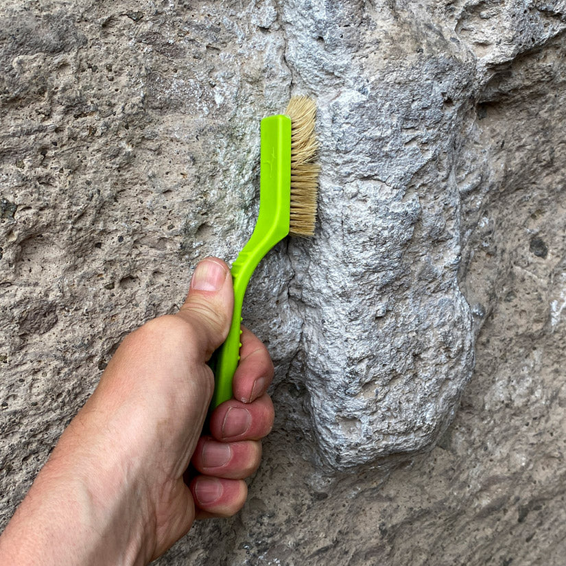 Razorback Boars Hair Brush