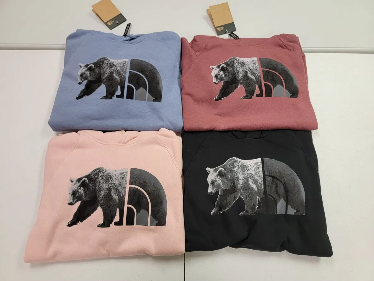 W TNF BEAR HOODIE